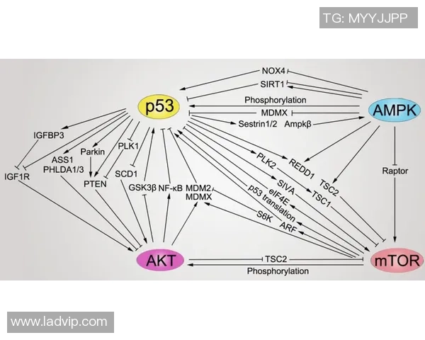 周军独家分享排球心得与技巧提升之道助你成为排球高手